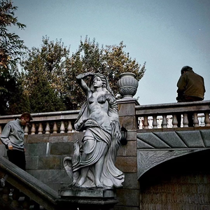 2019最新国产不卡
