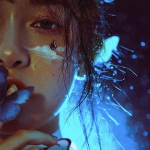 2019最新国产不卡
