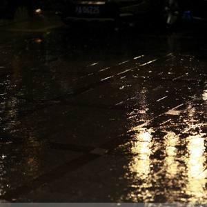 2019最新国产不卡
